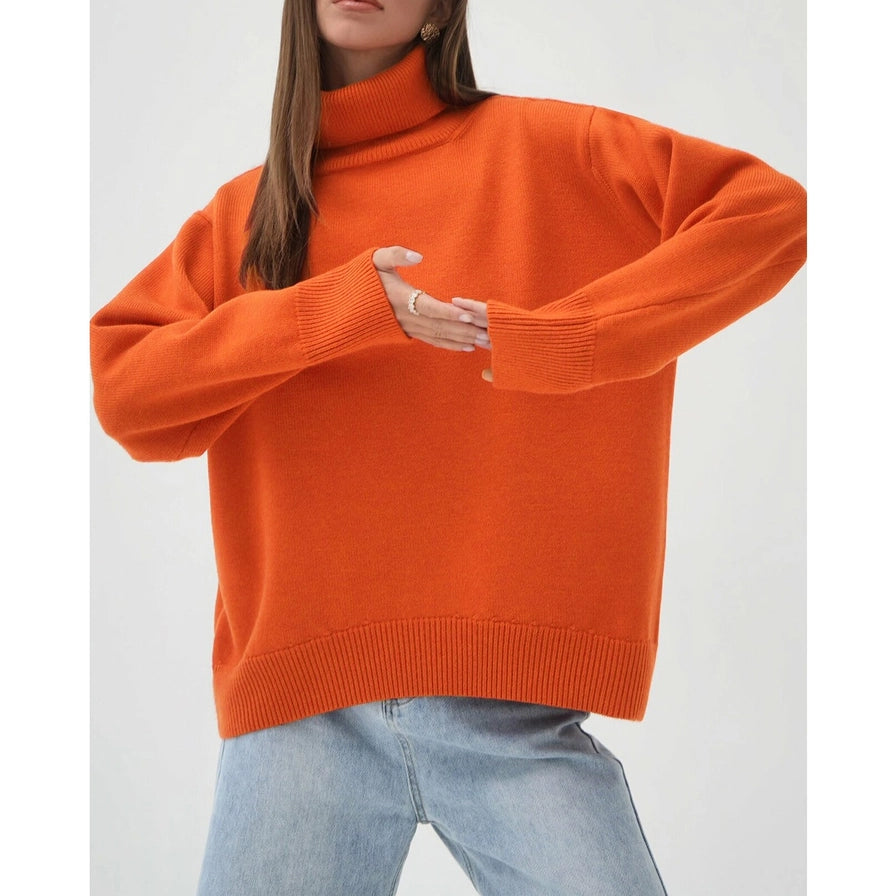 Turtle Neck Sweater Top